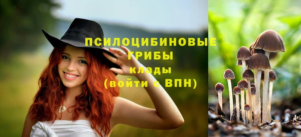 прущие крисы Белокуриха