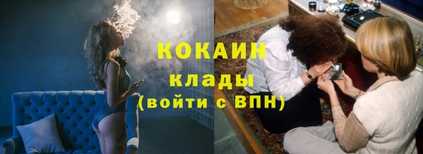 прущие крисы Белокуриха