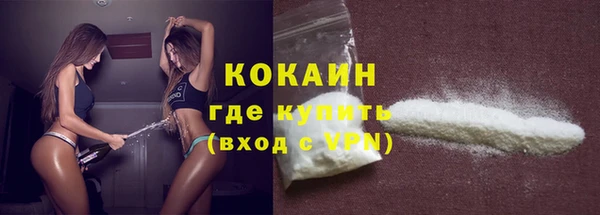 прущие крисы Белокуриха