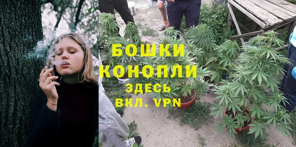 прущие крисы Белокуриха